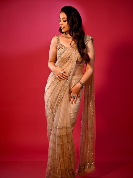 glorious net embroidered saree with blouse wholesale export Sarees 