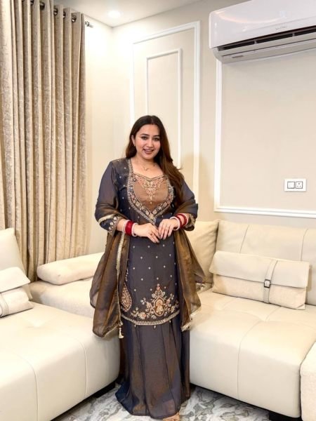 Graceful Brown Ready-to-Wear NC Moss Silk Top Palazzo with Lace Border Dupatta at Wholeslae Rate Ready To Wear Suit