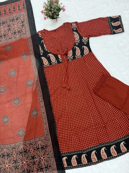 Graceful Original Jaipuri Cotton Ajrakh Anarkali Suit Set with Dupatta for Women Ethnic Wear Embroidery Kurtis 