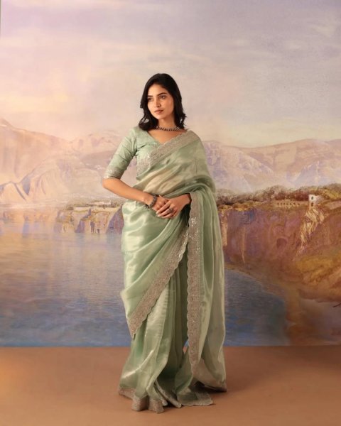 Graceful Pista Designer Soft Jimichu Silk Saree with Sequins Work and Embroidered Blouse Silk Sarees Wholesale