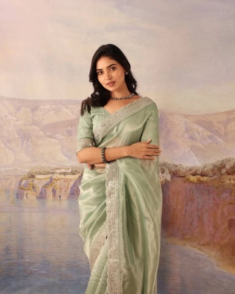 Graceful Pista Designer Soft Jimichu Silk Saree with Sequins Work and Embroidered Blouse Silk Sarees Wholesale