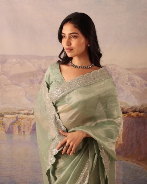 Graceful Pista Designer Soft Jimichu Silk Saree with Sequins Work and Embroidered Blouse Silk Sarees Wholesale