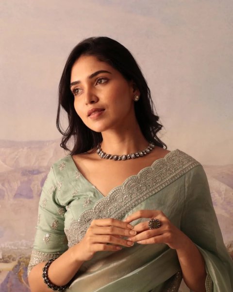 Graceful Pista Designer Soft Jimichu Silk Saree with Sequins Work and Embroidered Blouse Silk Sarees Wholesale