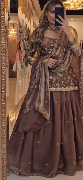 Heavy Fandy Silk Lehenga Set with Zari and Sequin Detailing Luxe Festive Edit  Ready To Wear Collection