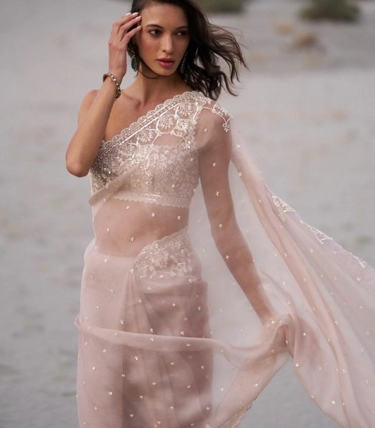 Iconic Baby Pink Premium Soft Tabby Organza Saree with C Pallu Sequins Embroidery Embroidery Sarees Wholesale