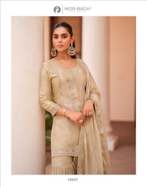 Iconic Cream Fancy Party Wear Suit Set for Women Premium Look Pakistani Suits Wholesale