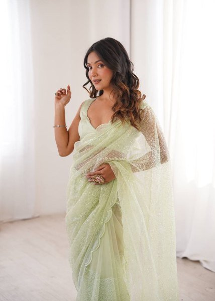 Iconic Pista Heavy Soft Net Saree with Designer Sequin Embroidery Work at Manufacturer  Net Sarees Wholesale