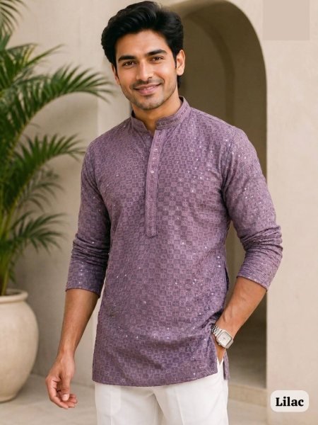 Impressive Lilac Traditional Chikan Work Men's Kurta with Both Side Pockets 