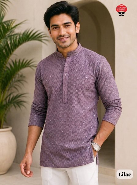 Impressive Lilac Traditional Chikan Work Men's Kurta with Both Side Pockets Mens Short Kurta