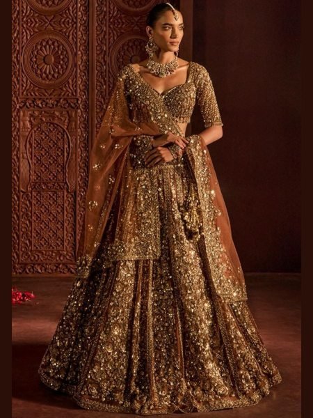 Ingenious Brown Butterfly Net Lehenga Choli with Heavy Glass Sequins Work at Wholesale Rate  Lehenga