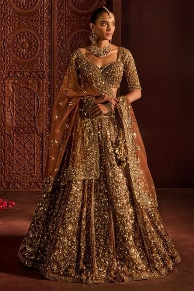 Ingenious Brown Butterfly Net Lehenga Choli with Heavy Glass Sequins Work at Wholesale Rate Designer Lehenga Choli