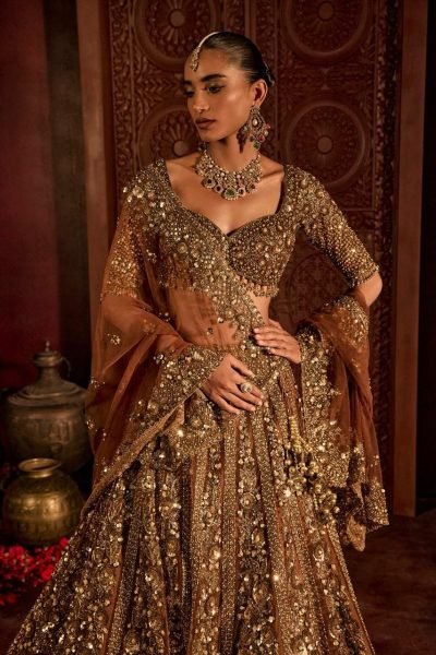 Ingenious Brown Butterfly Net Lehenga Choli with Heavy Glass Sequins Work at Wholesale Rate Designer Lehenga Choli