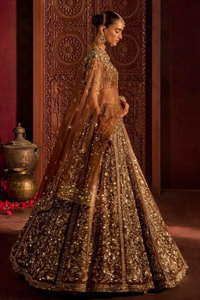 Ingenious Brown Butterfly Net Lehenga Choli with Heavy Glass Sequins Work at Wholesale Rate Designer Lehenga Choli