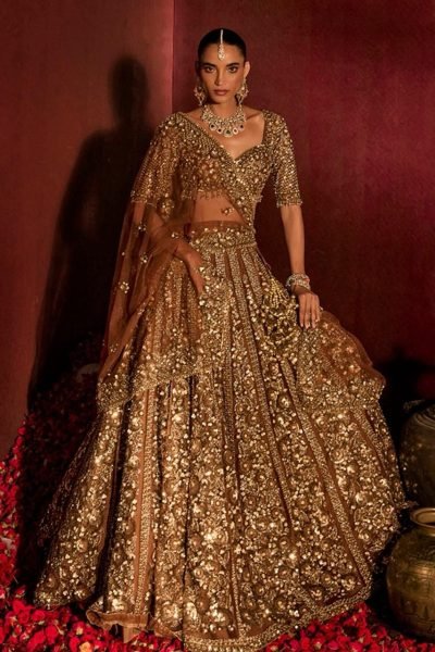 Ingenious Brown Butterfly Net Lehenga Choli with Heavy Glass Sequins Work at Wholesale Rate Designer Lehenga Choli
