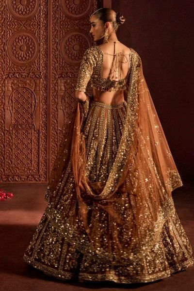 Ingenious Brown Butterfly Net Lehenga Choli with Heavy Glass Sequins Work at Wholesale Rate Designer Lehenga Choli