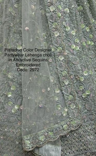 Intricate Pista Net Lehenga with Silver Zari and Sequin Work for Wedding Wear Bridal Lehenga Choli