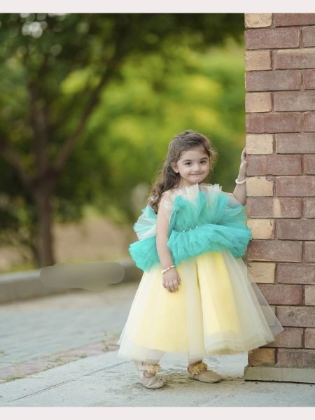 Kid s Heavy  Net Embellished Floral Colorblock Ruffle Dress Girls Wear