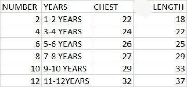 Kids South Indian Traditional Pattu Pavadai Lehenga Choli Girls Wear