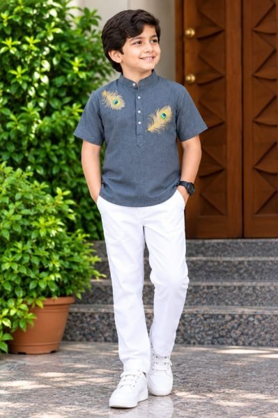 Lavish Grey Kids Festive Wear Jippa with Premium Printed Design for Festival Boys Wear