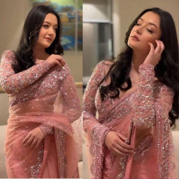 Light Pink Butterfly Net Embroidered Saree With Sequence Work At Manufacturer Rate Embroidery Sarees Wholesale