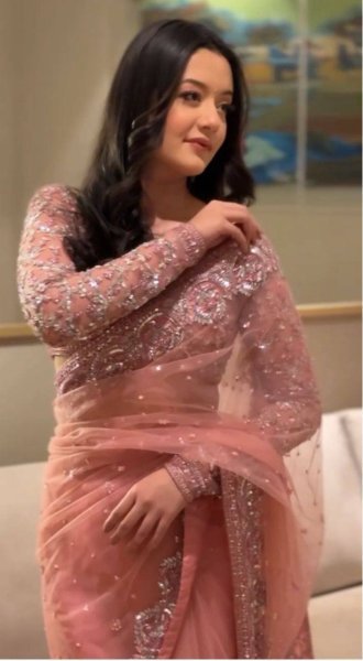 Light Pink Butterfly Net Embroidered Saree With Sequence Work At Manufacturer Rate Embroidery Sarees Wholesale