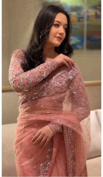 Light Pink Butterfly Net Embroidered Saree With Sequence Work At Manufacturer Rate Embroidery Sarees Wholesale