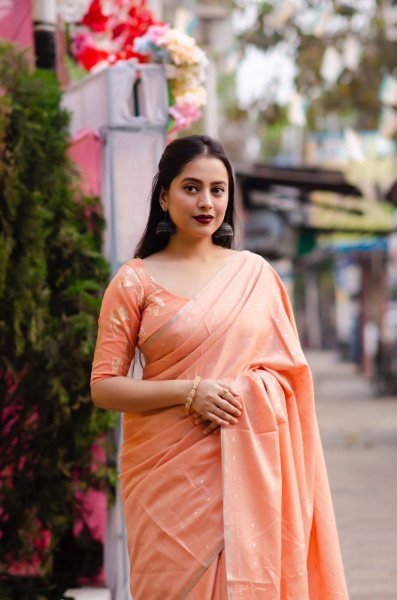 Light Weight Soft Cotton Linen Saree Linen Sarees Wholesale