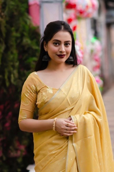 Light Weight Soft Cotton Linen Saree Linen Sarees Wholesale