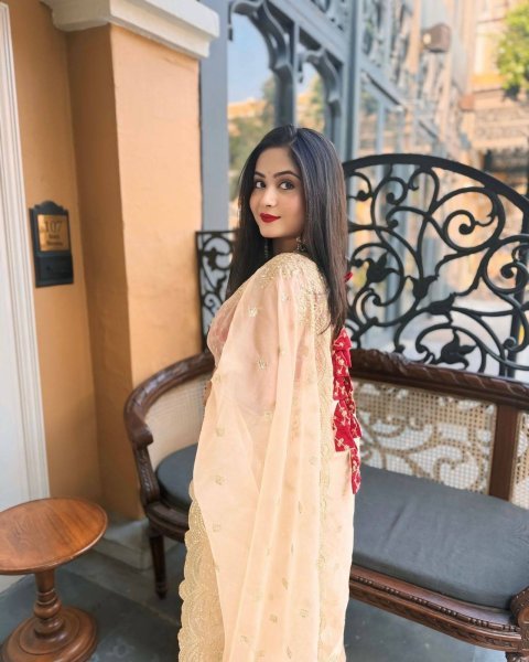 Luxe Gold Organza Saree with Sequins Red Corset Blouse for Grand Celebrations Designer Wedding Sarees Wholesale