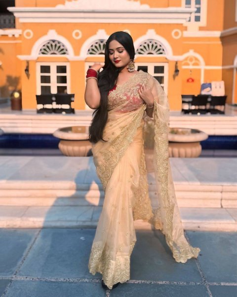 Luxe Gold Organza Saree with Sequins Red Corset Blouse for Grand Celebrations Designer Wedding Sarees Wholesale