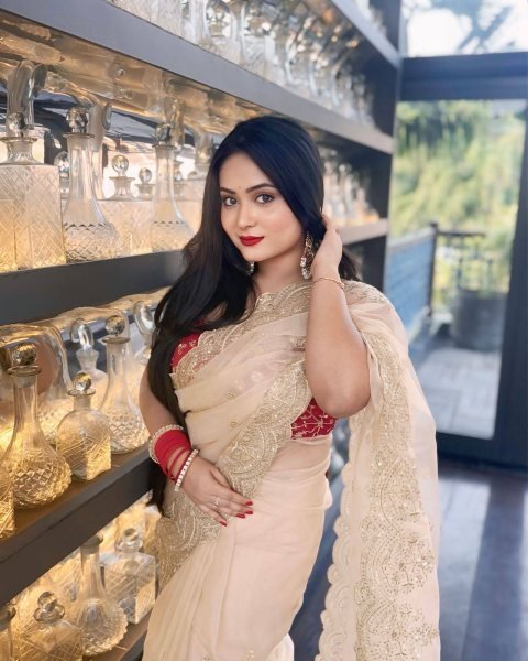 Luxe Gold Organza Saree with Sequins Red Corset Blouse for Grand Celebrations Designer Wedding Sarees Wholesale