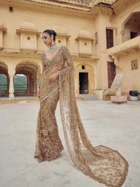 Luxury Brown Sequin Embroidered Net Saree for Special Occasions  Sarees 