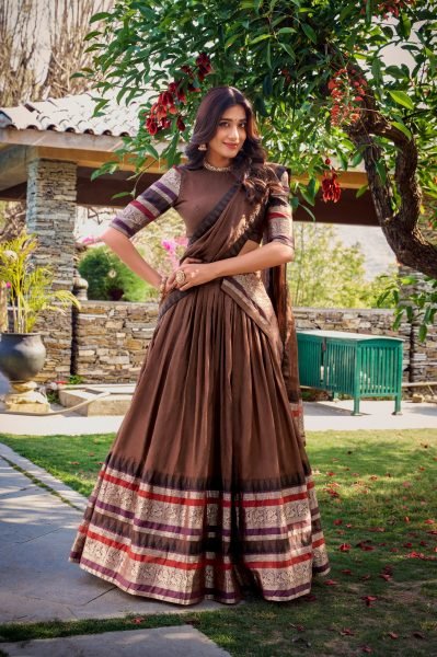Magnetic Brown Pure Chanderi Lehenga Choli with Zari Weaving Border and Dupatta Half Saree Lehenga