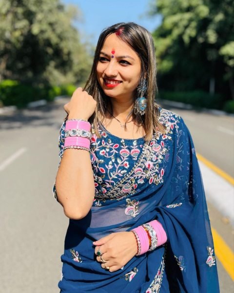 Navy Blue Rangoli Silk Saree with Floral Embroidery and Cutwork Border Wedding Wear Embroidery Sarees Wholesale