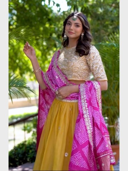 New Launching Embroidery Work Lehenga Choli  Designer Lehenga Choli