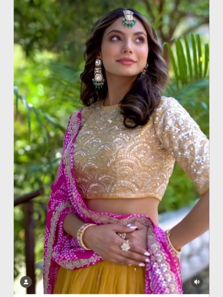 New Launching Embroidery Work Lehenga Choli  Designer Lehenga Choli