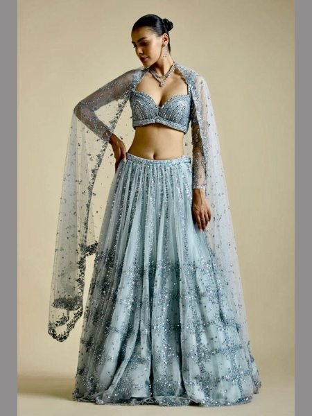 New Trending Net Lehenga Choli With Sequence Work By Royal Export  Designer Lehenga Choli