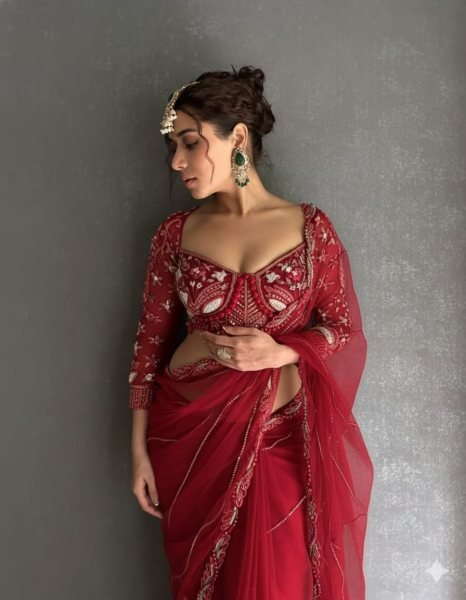 Organic Red Net Saree with Heavy Diamond Work Lace Border For Wedding Designer Wedding Sarees Wholesale