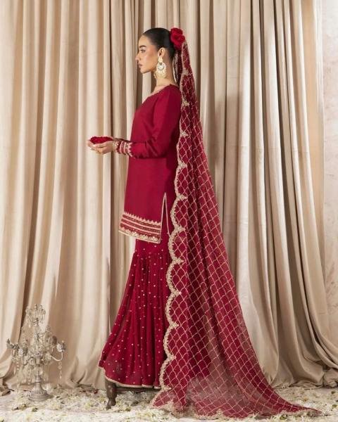 Pakistani Embroidered Red Georgette Salwar Kameez Set for Functions  Ready To Wear Collection