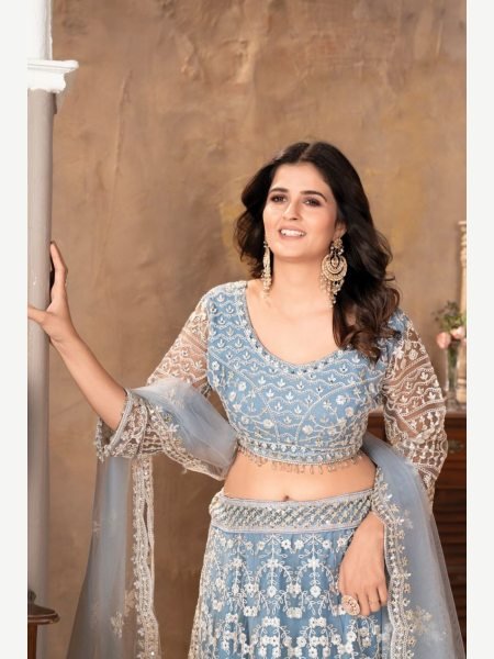 Party Wear heavy Premium Net Sequence Work Lehenga Choli  Designer Lehenga Choli