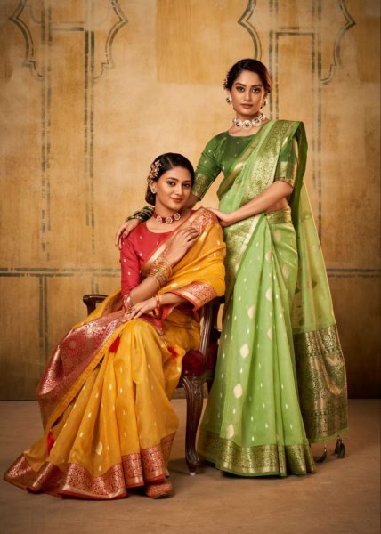 Petals Glow Banarasi Tissue Saree with Luxe Contrast Border Heritage Look for Celebrations Banarasi Saree Wholesale