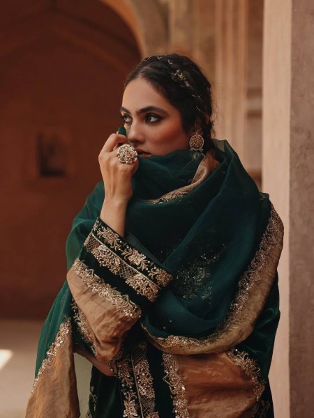 Premium crafted Velvet Front   Back Sequence Work Suit with Crape Silk Salwar and Georgette Dupatta for Wedding Wear  Ready To Wear Collection