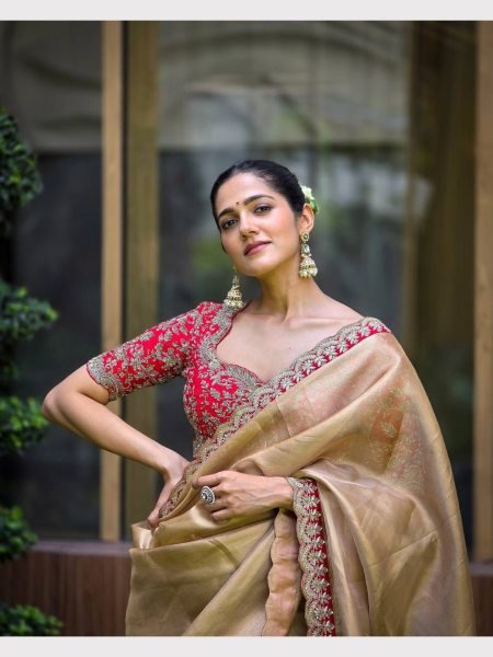 Premium Zoya Gold Soft Tissue Saree With Sequence Embrodery Work  Designer Wedding Sarees Wholesale