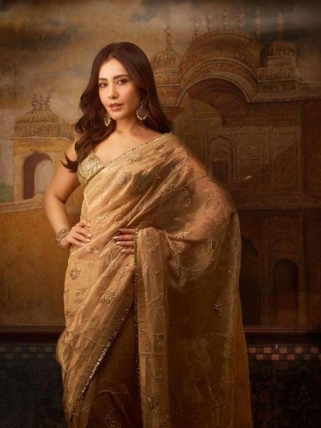 Raashii Khanna Rose Gold Silk Beads Saree with Floral Jaal Pattern 