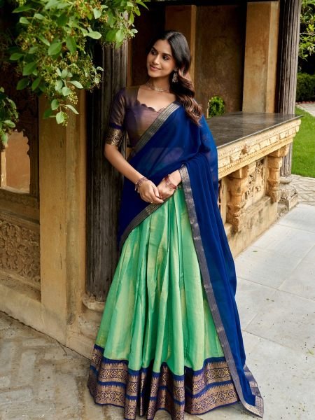 Rare MintGreen Brown Kanchipuram Fabric Lehenga Choli with Unstitched Blouse 