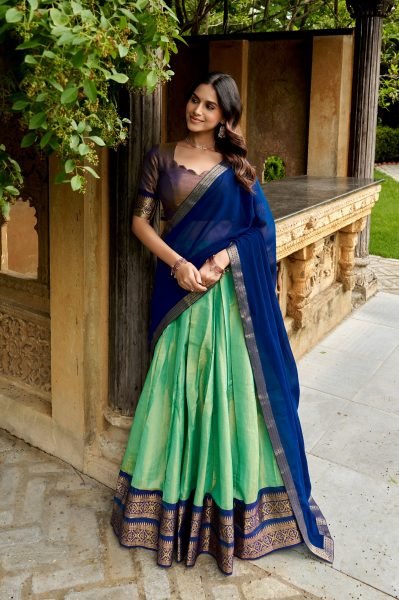 Rare MintGreen Brown Kanchipuram Fabric Lehenga Choli with Unstitched Blouse Half Saree Lehenga
