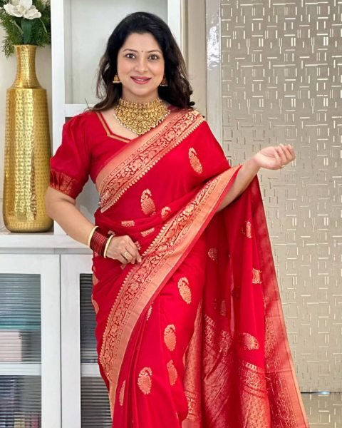 Red Banarasi Soft Silk Saree with Heavy Zari Work for Party Look Banarasi Saree Wholesale