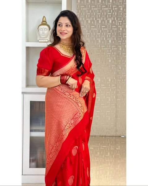 Red Banarasi Soft Silk Saree with Heavy Zari Work for Party Look Banarasi Saree Wholesale