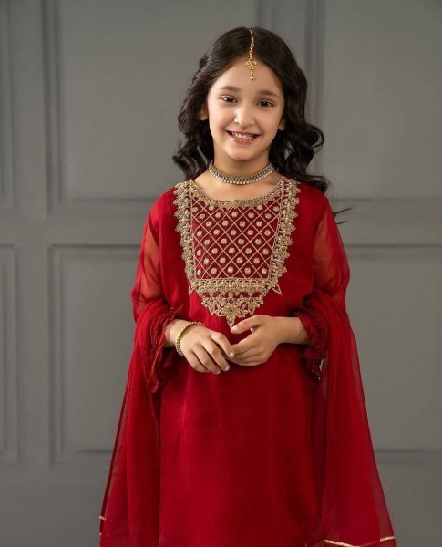 Red Color Embroidery Work Girls Dress  Girls Wear