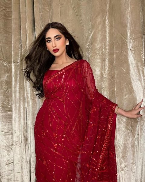 Red Georgette Sequence Saree With Lace Work Partywear Blouse Piece Georgette Sarees Wholesale